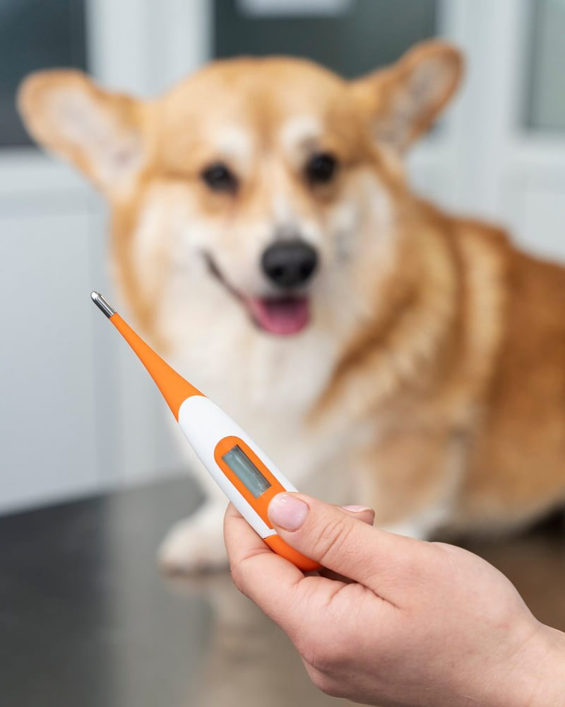 Pet parasites